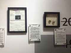 -上海外滩星空失恋减压馆(外滩旗舰馆)