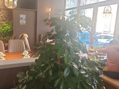 -纪林菜馆·博山菜老字号(华光路店)