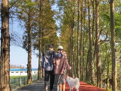 -上海长兴岛郊野公园