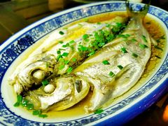清蒸白水鱼-品渔味湖鲜馆(拈花湾店)
