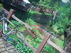 -Local泰莲庭(虹鳟鱼店)