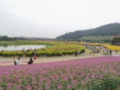 -径山花海