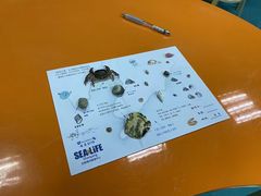 -沈阳海洋探索中心