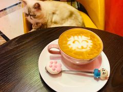 -猫色咖啡·猫咖