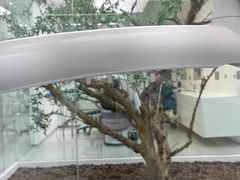 -极简口腔(总院)