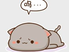 -海月湾欢乐水世界