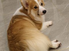 -和它·交个朋友·狗咖猫咖(爱琴海店)