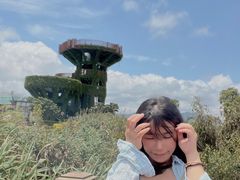 -芒洲湿地公园