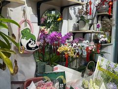 -FEI FEI FLOWER鲜花店·气球派对·宝宝宴布置(虹口德必运动Loft店)