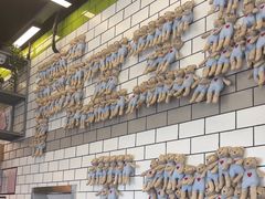 -MT麦如麦立送(五矿live店)