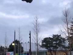 -金泽21世纪美术馆