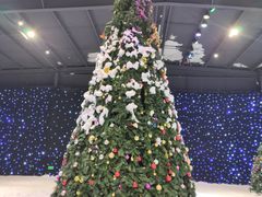 -宁波冰雪大世界(北仑区)