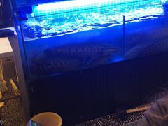 -江南鱼捞(北仑银泰城店)