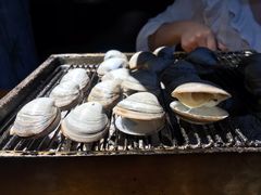 白蚬子-丹东特色烤肉(南光三部店)