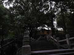 -灵岩山风景区