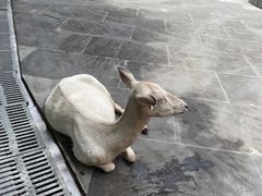 -金沙遗址博物馆