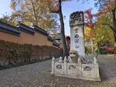 -灵谷景区