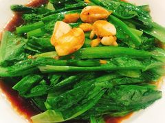 -锦粤宫·精致粤菜(深圳北站店)