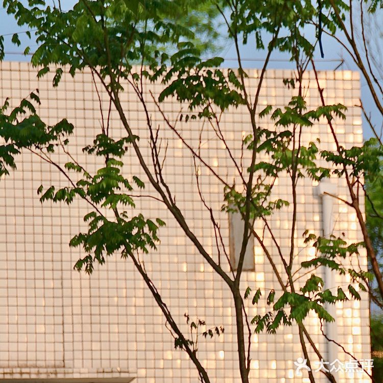 重庆踏青|小众打卡地-九曲河湿地公园