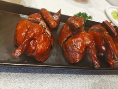 红烧乳鸽-粤珍轩·家宴·广式茶点(新城广场店)