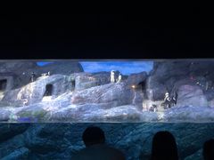 -暹罗海洋世界