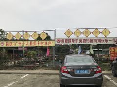 -荔枝红五号农庄