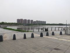 -映月湖中央公园