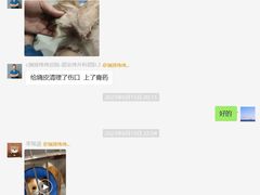 -伟伟宠物医院·CT影像中心·瑞派犬猫综合性门诊(汉口总院)