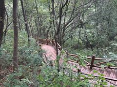 -大岭沟猕猴桃谷风景区