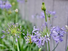 -嘉善路(地铁站)