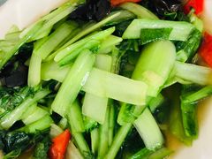 -天天向上素食餐厅(五台山店)