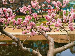 -元大都城垣遗址公园