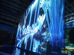 -海合安武汉极地海洋公园