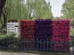 -西安市长乐公园