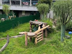 -沈阳森林动物园