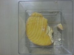 android_upload_pic-路西仕·手作西点(气象台路店)