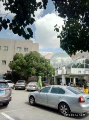-上海交通大学医学院附属上海儿童医学中心(陆家嘴总院区)