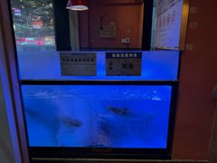 -鱼酷活鱼烤鱼(静安大融城店)