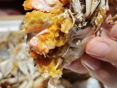 -杨氏青龙虾·羊蝎子(托乐嘉店)