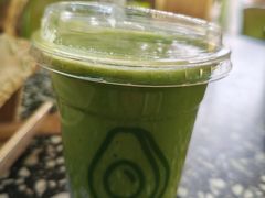 -油梨树AVOCADO TREE(顺义新国展店)