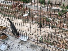 -北京外交人员免税商店(分店)