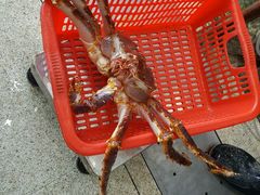 -蚝专家(北滘店)