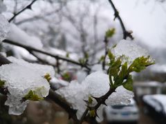 -秦岭风景区
