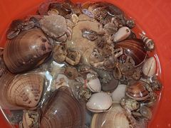 -北海金海湾红树林生态旅游区