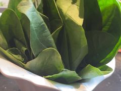 -南门四季铜锅涮肉(大屯·北苑店)