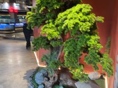 -阿伟海鲜楼·福建菜(延寿店)
