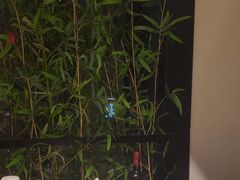 -徽镇小厨·经典徽菜(十里河店)