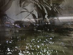 -MEDISN·药厂