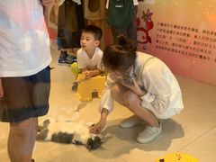 -猫咪博物馆(顶澳仔猫街店)