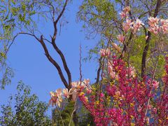 -秀儿家の小确幸花园西餐厅
